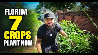 7 Crops You'll Regret NOT Planting in Florida This Summer