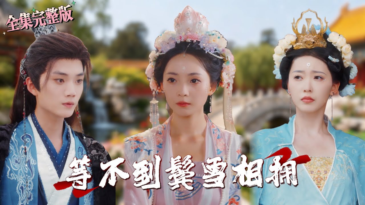 【全集 短劇 】承诺好的求婚日他却迟到了，公主主动申请远赴南疆和亲，人去楼空的时候，后悔已经来不及了.｜等不到鬓雪相拥｜ 💖李蔚蓝×许丹🌹女频 大女主爽剧 古装 最新短剧