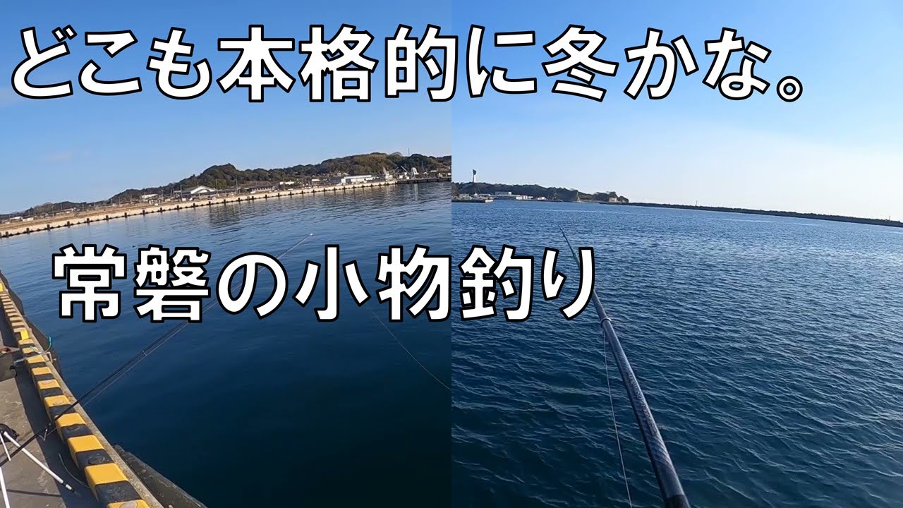 常磐の海全般に冬のダメ紀本格突入？