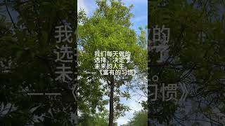 《富有的習慣》