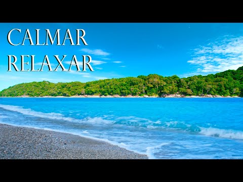 Calma la Mente - Música para tu Bienestar