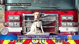 Lewisville Fire Gets Help From ATF-K9 'Molly' To Break Serial Arson Case Dating Back To 2019