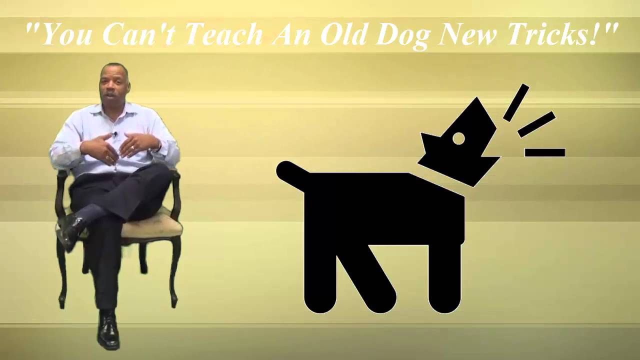 YOU CAN'T TEACH AN OLD DOG NEW TRICKS - YouTube