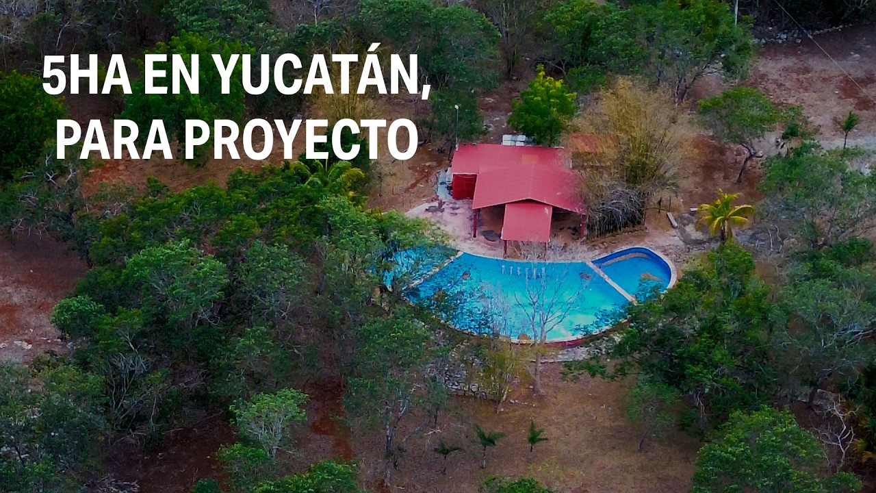 Terreno de 5.3 Ha en Yucatán 10MDP | Oportunidad para Hotel Boutique o Centro de Retiros