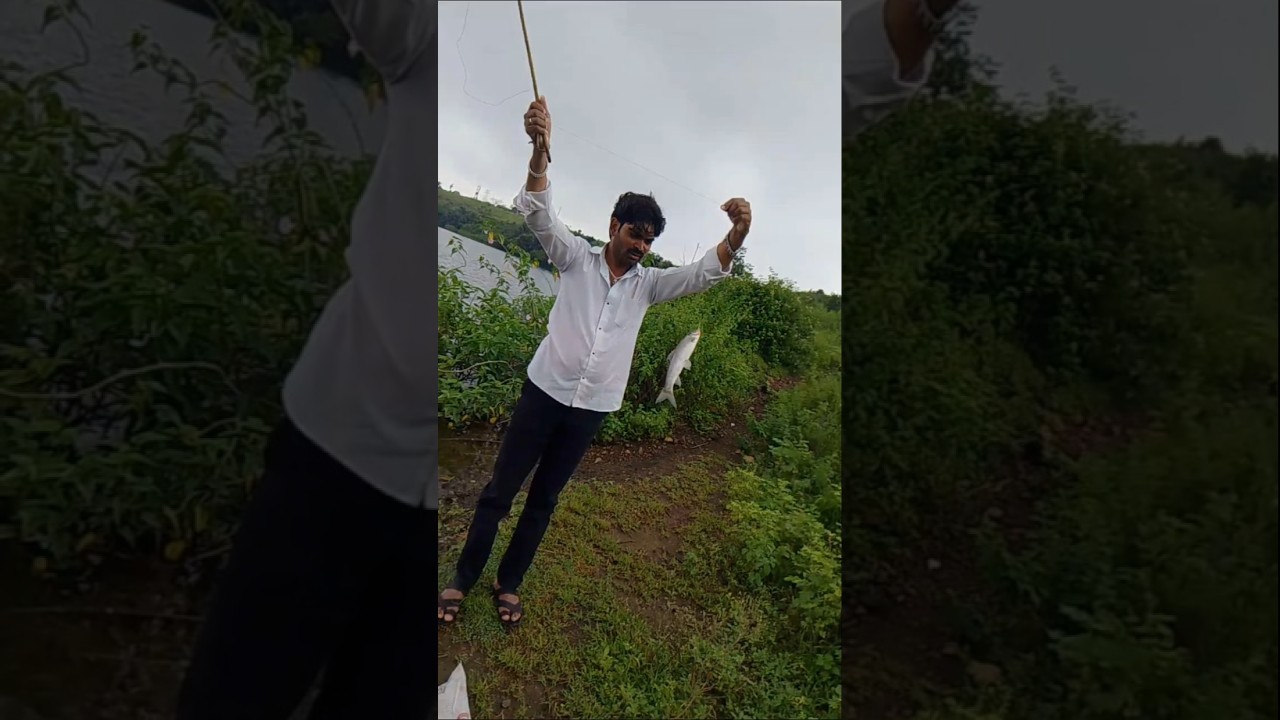 2 kg machli  tilapia pamphlet ..