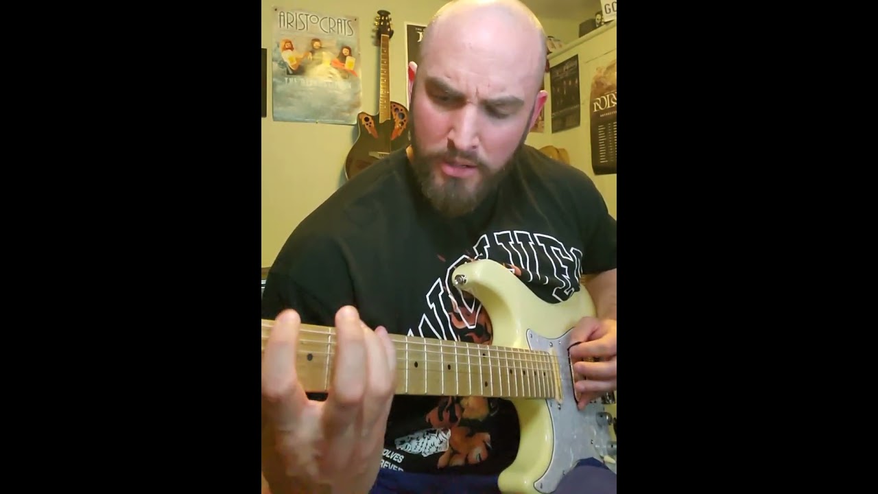 Protest the Hero - Bone Marrow riff