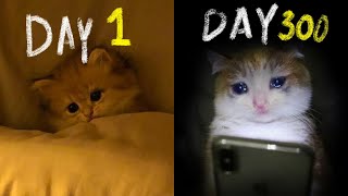 I Spent an Entire Year Rotting in Bed