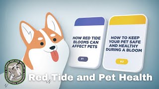 Audio Description Red Tide and Pet Health @FWCResearch