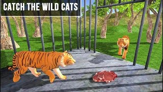 Wild Animal Zoo Transporter 3D Truck Driving Game Best Kids Game Android ios Gameplay screenshot 2