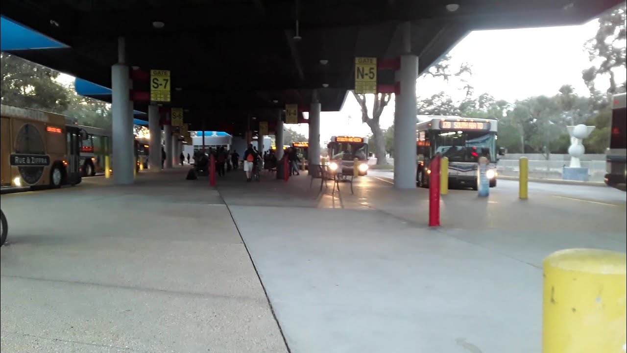 votran-bus-at-transfer-plaza-part-26-youtube