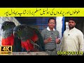 Exotic Parrots and Bards at Muslim Birds Bahawalpur 2023 | Alexandrine Parrots Ring Neck Parrot