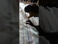 guess the new dinosaur