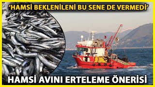 Karadenizde Hamsi Avı 1 Yıl Ertelensin Çağrısı