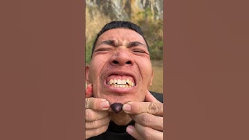 How I Cured a Bug Bite with Yogurt in the Wild Survival Hacks p4361