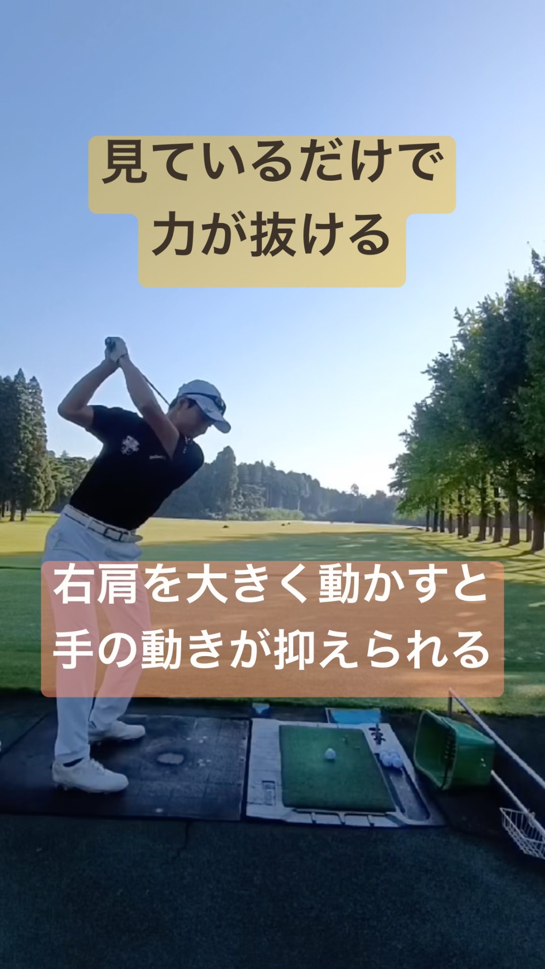 55歳からの本物ゴルフ:痛みを感じたらTenSwing無料版【増田哲仁公式