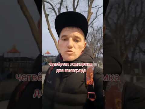 ЧЕТВЁРТАЯ ПОДКОРМКА ДЛЯ