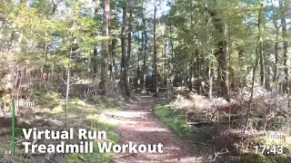 Virtual Run | Virtual Running Videos Treadmill Workout Scenery | Sunny Morning - Kepler Track Forest