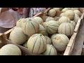 Le melon du Quercy a la côte sur les marchés du Lot en cette période estivale