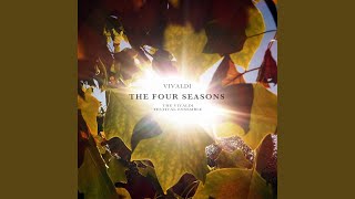 Concerto Grosso No. 11 in D Minor, Op. 3:I Allegro - allegro