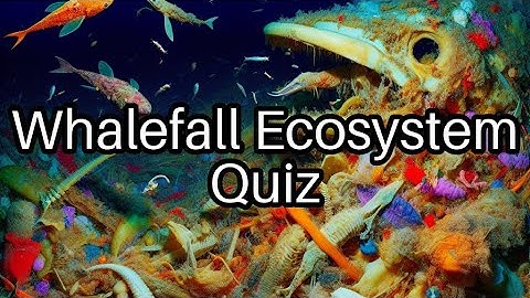 Whalefall Wonders: Test Your Knowledge on Ocean Ecosystems! 🌊🐋
