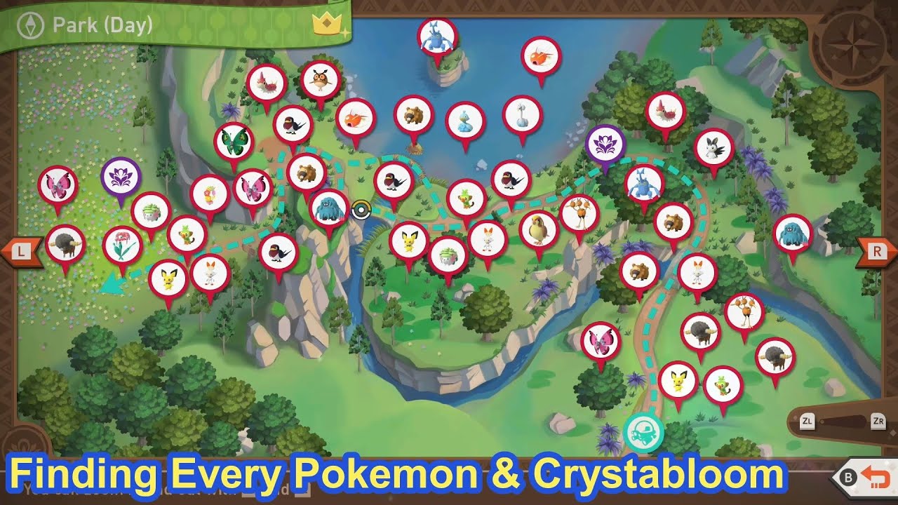 Gold Crown & Request Guide - Florio Park Day (All Pokemon + Max Research)