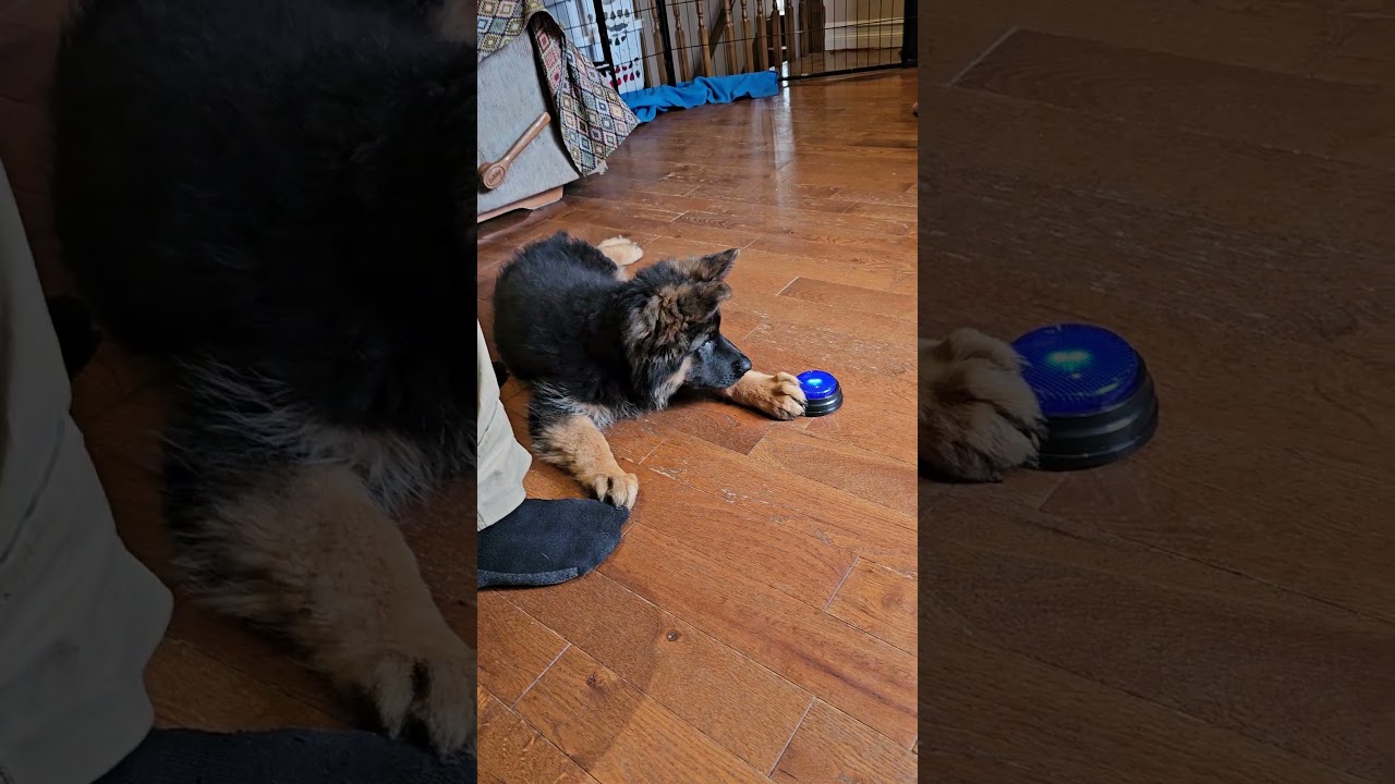 Pax, entraînement au push sound