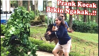 Bushman prank Auto shock || Funny prank video