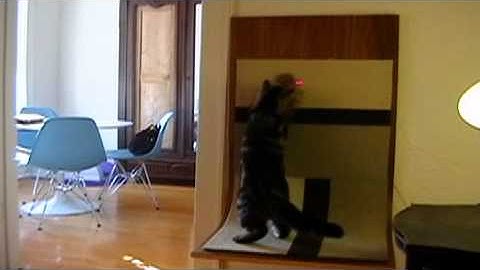 FroliCat Bolt Cat Toy