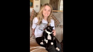 Chubby Cat Sits On My Lap Like A Person