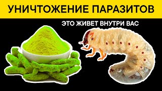 8 продуктов для МОМЕНТАЛЬНОГО ВЫВЕДЕНИЯ мерзких ГЛИСТОВ и ПАРАЗИТОВ. Результат через 2 часа