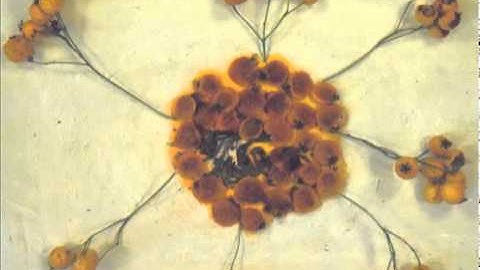 Taphonomy by Beatrice Baumgartner