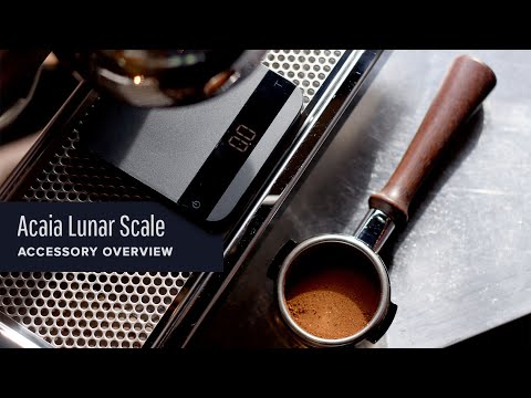 Acaia Lunar Scale