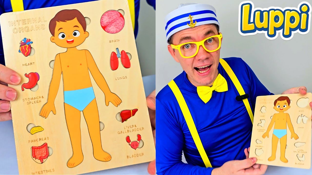 Luppi Builds a Human Body Puzzle