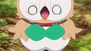 Rowlet gets stuck in a ring and freaks out!🦉
