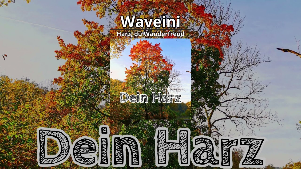 Album Dein Harz - Harz, du Wanderfreud