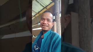 Beloreh Sekayu Mubarohim Bekule Dgn Ningsih Bailangu   viral shorts noahrizqi2414