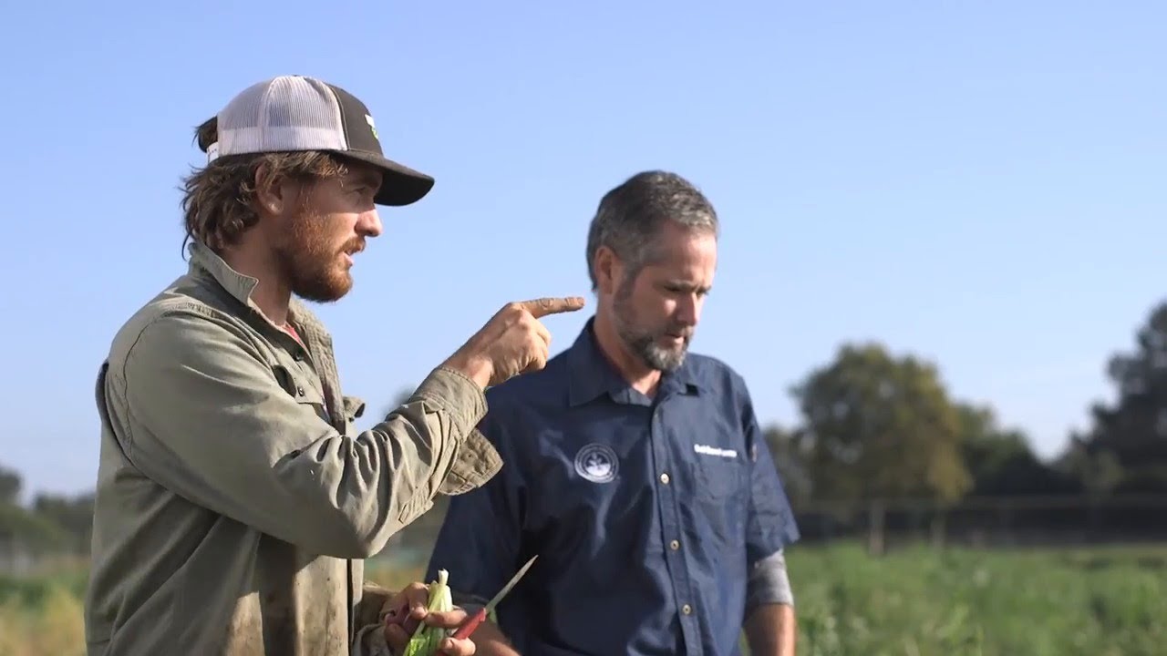 Soil Born Farms is more efficient and saves with SMUD