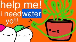 Water Me Fool! (with DashieGames)