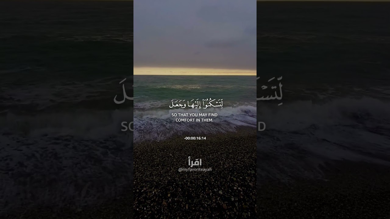 The Mercy of Allah ❤️ #shorts #quran #quranrecitation #quranictranslation #islamicreminder #islam