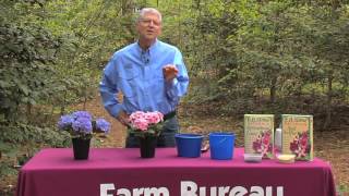 Walter Reeves – Hydrangea Colors & How You Can Change Them Net Worth