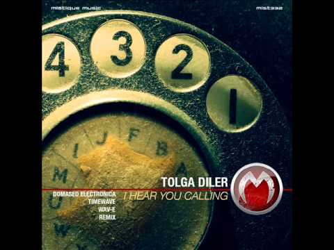 Tolga Diler - I Hear You Calling (Timewave Remix) - Mistique Music