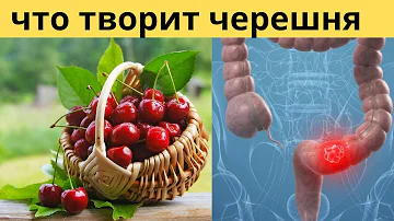 Что творит черешня. И чего надо опасаться при употреблении черешни.
