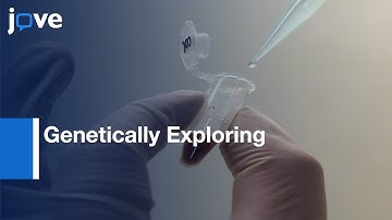 Seed Coat Bedding Assay: Endosperm Controls Seed Germination-Arabidopsis thaliana l Protocol Preview