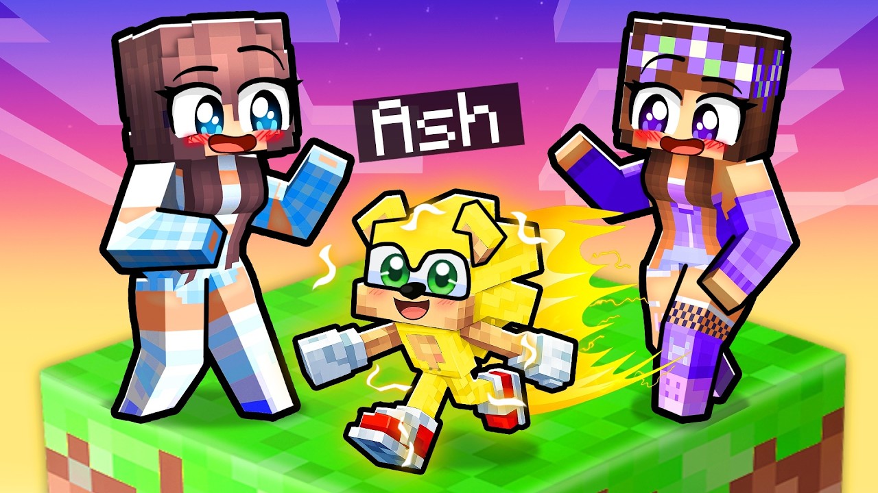 I Pretended to be BABY SONIC on a One Chunk!