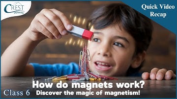 Fun With Magnets | Class 6 Science Olympiad | CREST Olympiad Prep Guide