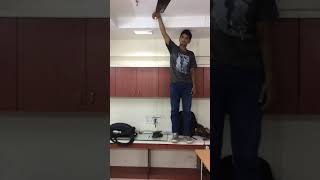Slinky free fall