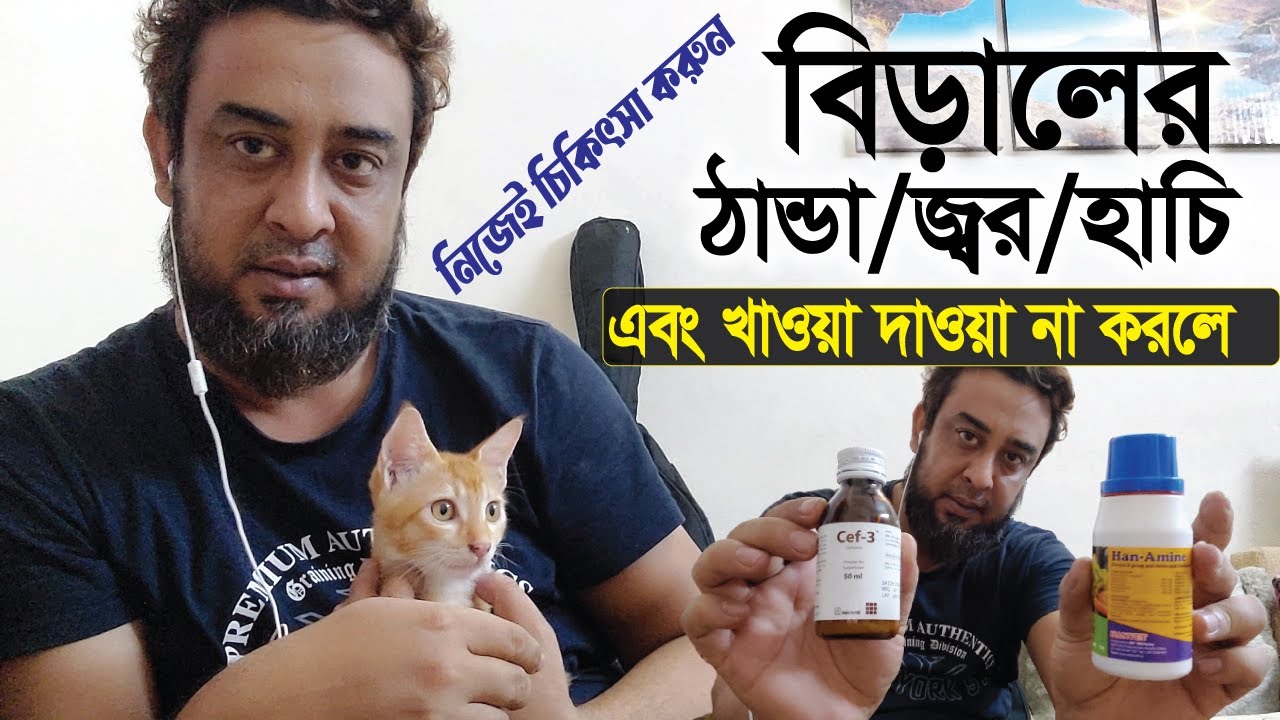 বিড়ালের ঠান্ডা / জ্বর / হাঁচি এবং খাওয়াদাওয়া না করলে - নিজে নিজেই চিকিৎসা করুন ঘড়ে বসে 🐱🐈😸