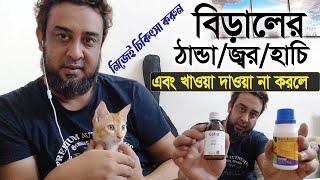 বিড়ালের ঠান্ডা / জ্বর / হাঁচি এবং খাওয়াদাওয়া না করলে  নিজে নিজেই চিকিৎসা করুন ঘড়ে বসে