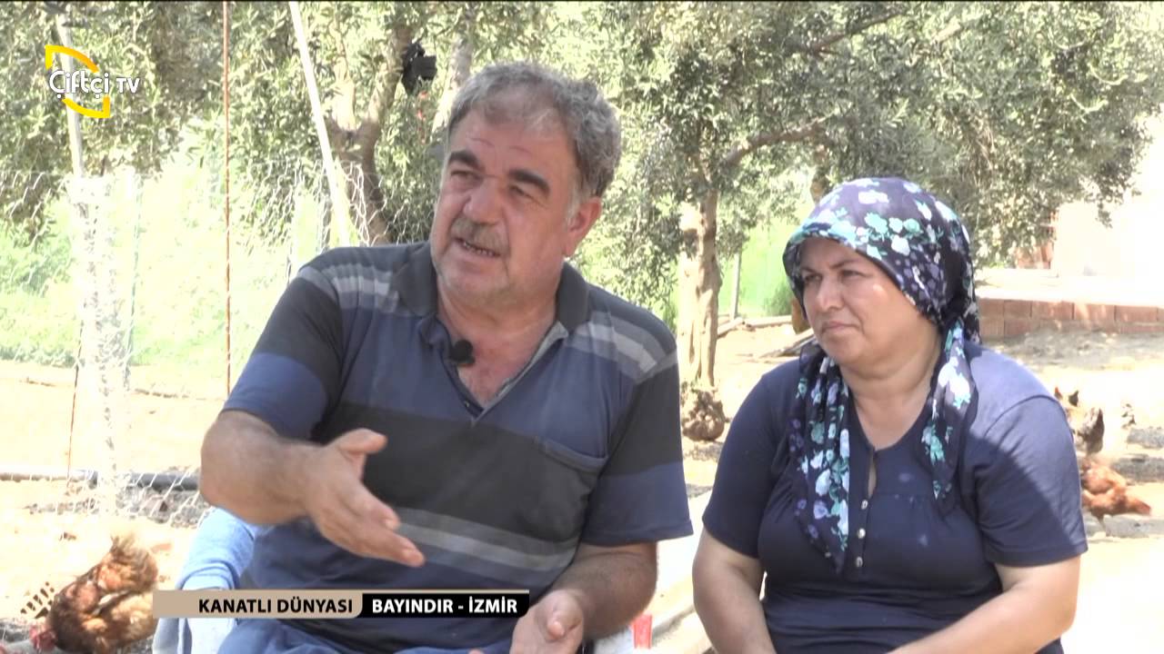 Salma Tavuk Aile İşletmesi / Kanatlı Alemi