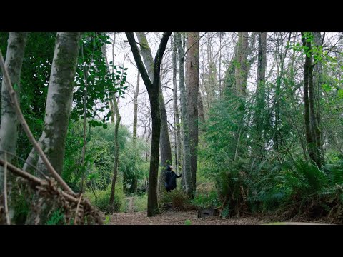 Putar AKIHASA (Narrate) - WUSA